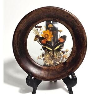 Vintage Real Butterfly Flower  | Brazilia Collection by Dunston | 70s